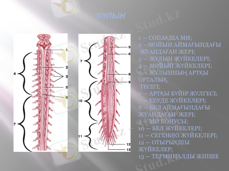 Slide 8