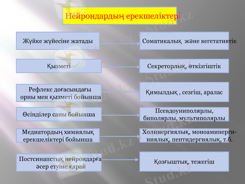 Slide 9