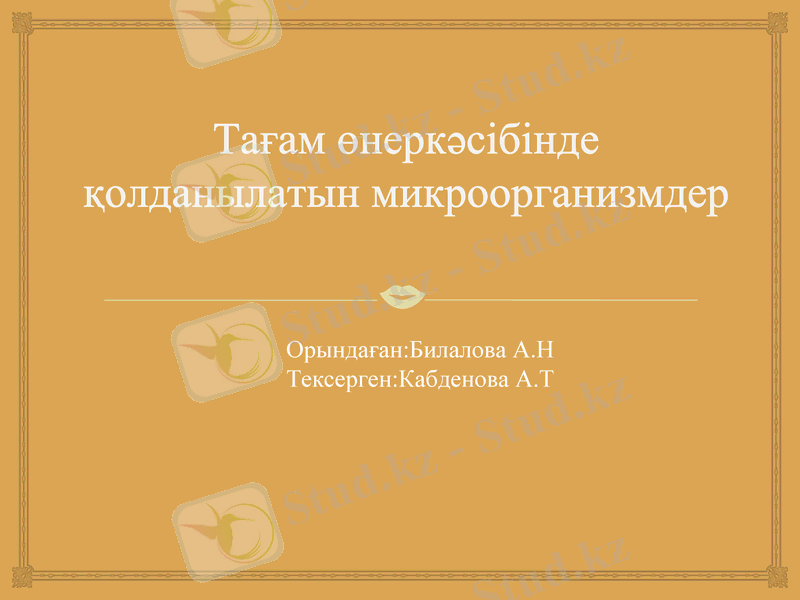Slide 1