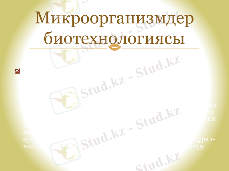 Slide 8