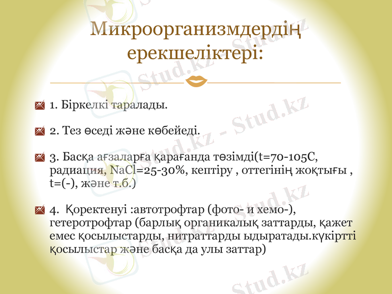 Slide 9