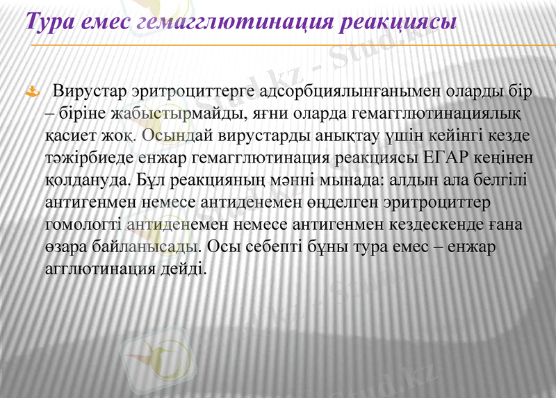 Slide 10