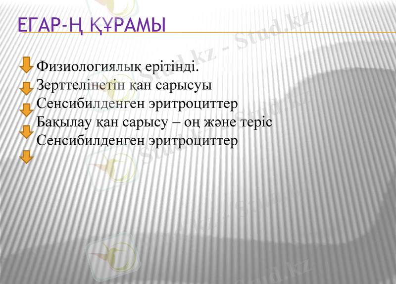 Slide 11