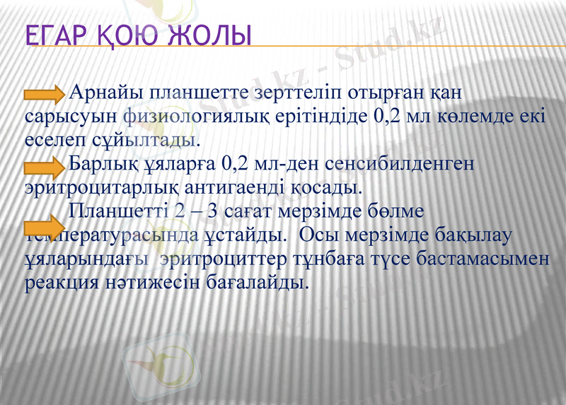 Slide 12