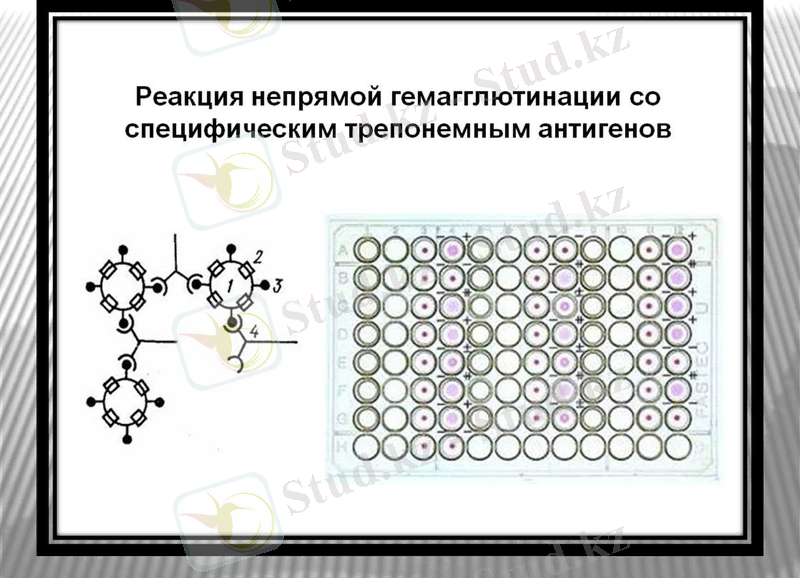 Slide 13