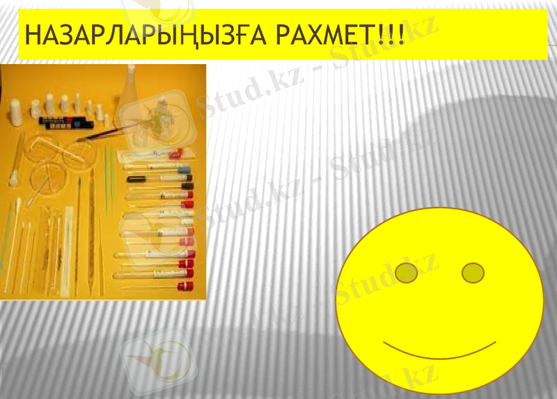 Slide 15