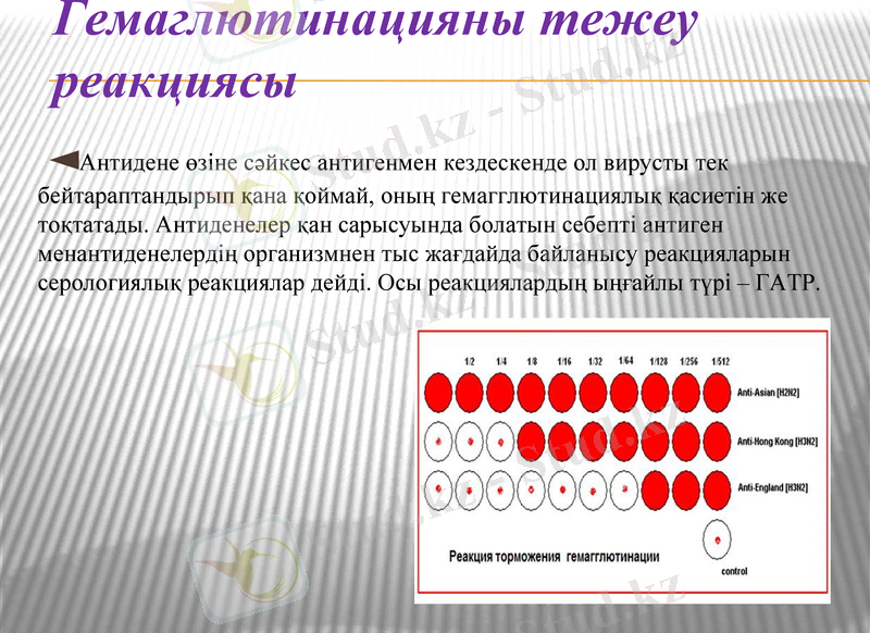 Slide 7