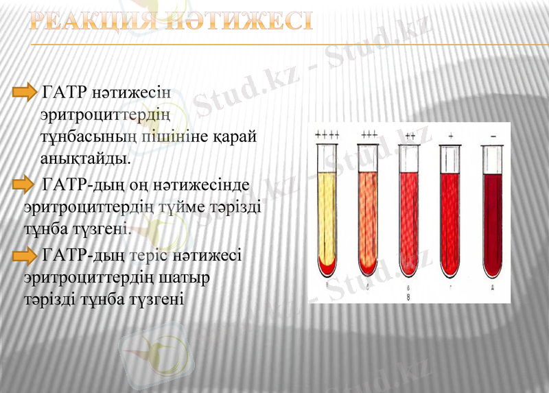 Slide 9