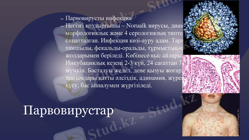 Slide 6