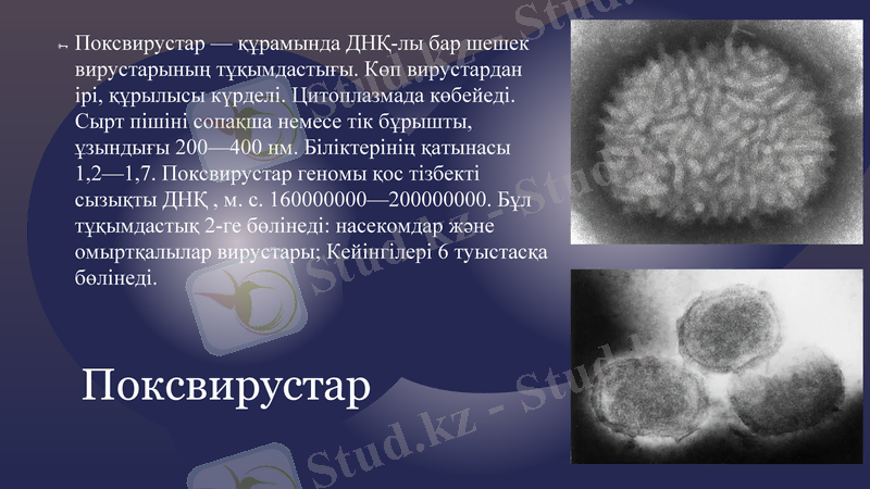 Slide 7