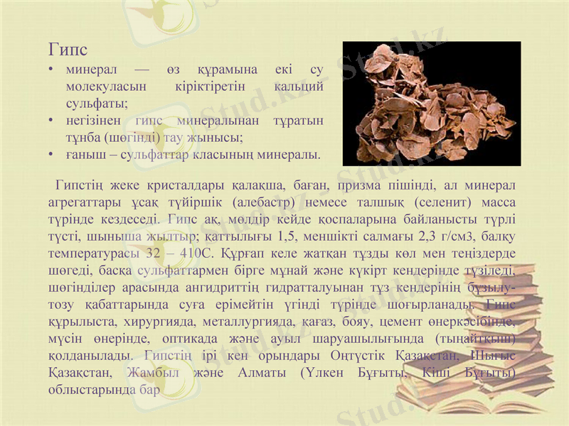 Slide 9
