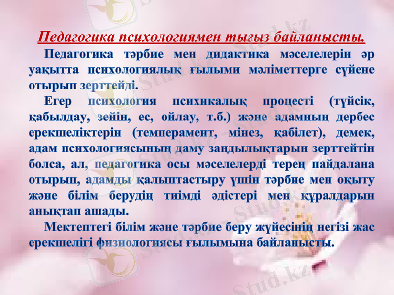 Slide 11