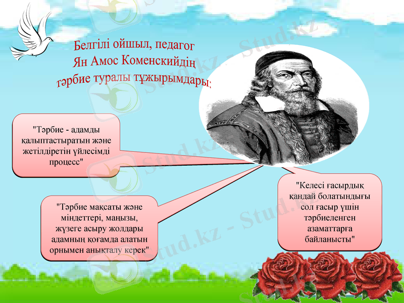 Slide 12