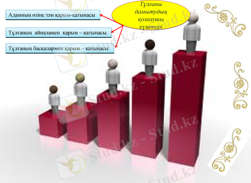 Slide 6