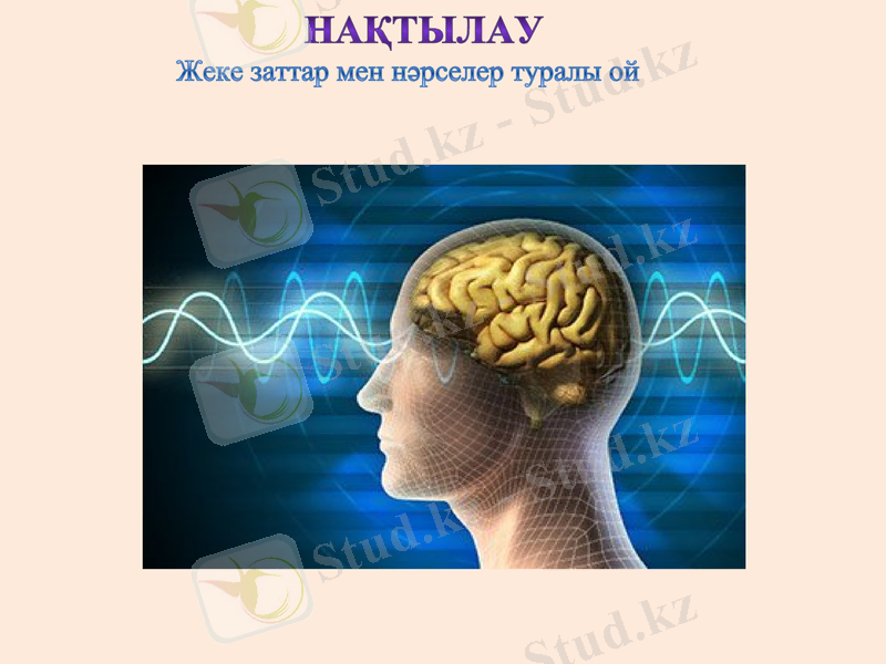 Slide 7