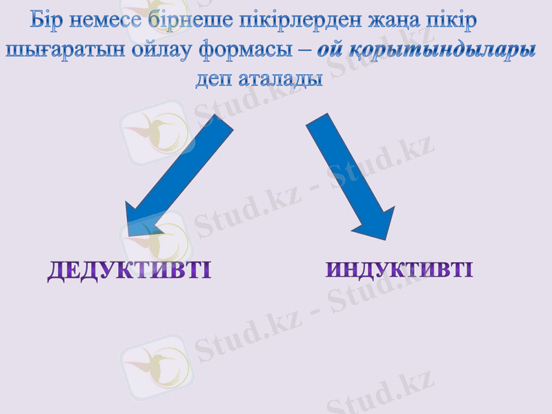 Slide 8