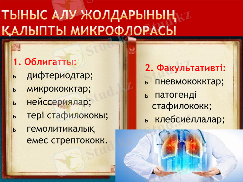 Slide 10