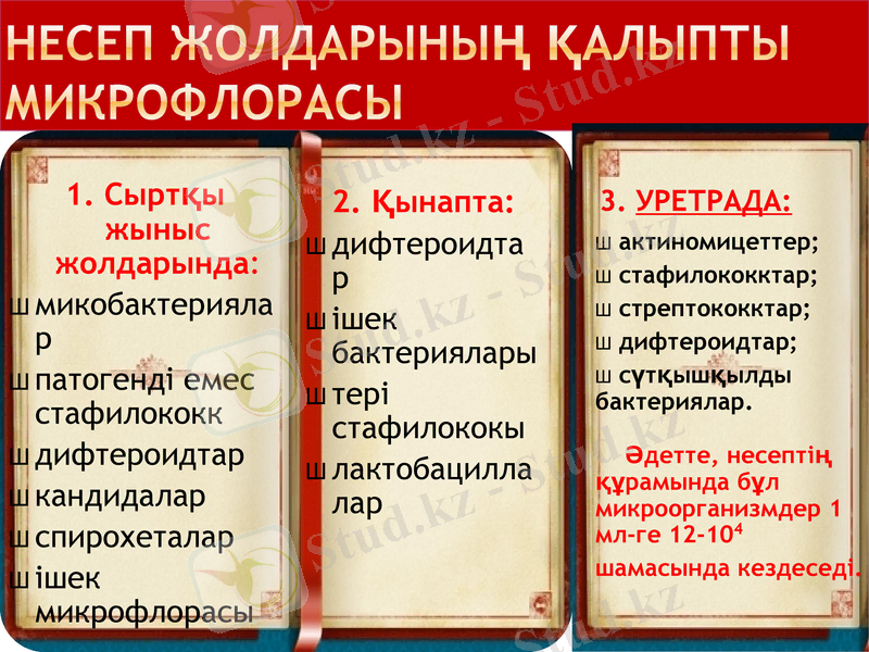 Slide 12