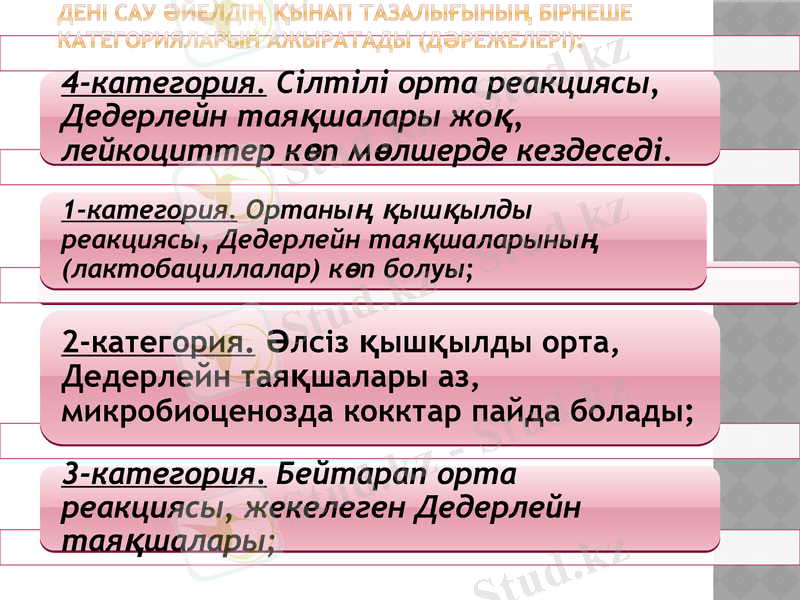 Slide 13