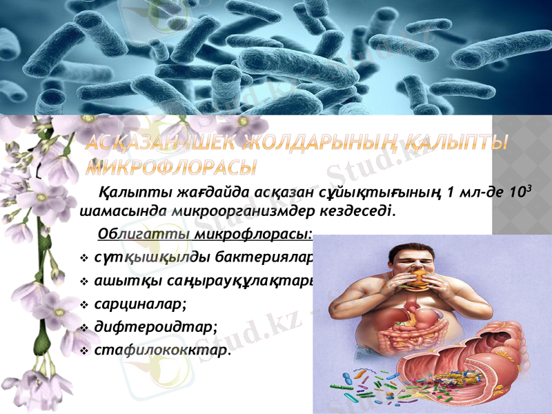 Slide 14