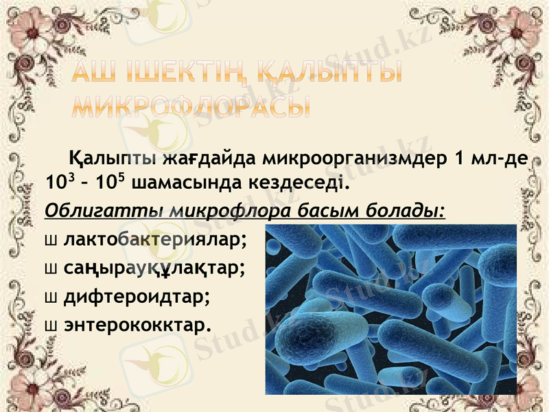 Slide 20