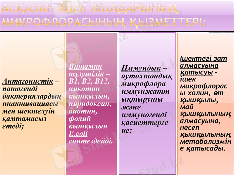 Slide 22