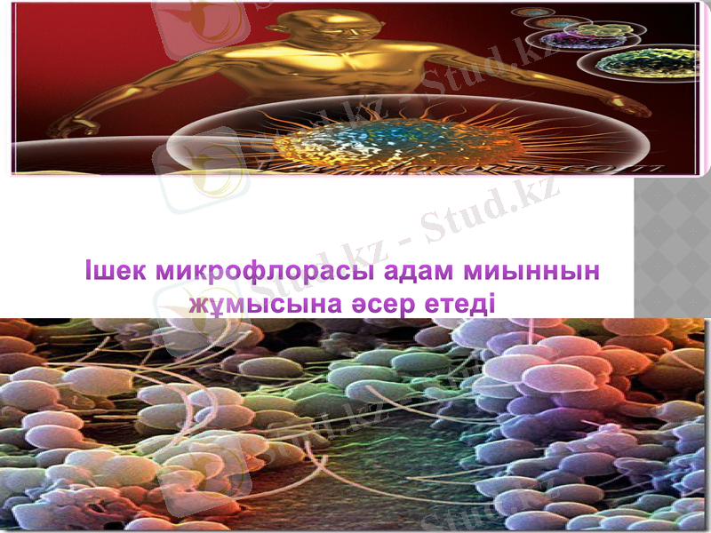 Slide 25