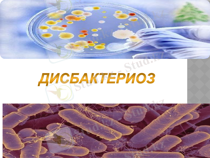 Slide 39