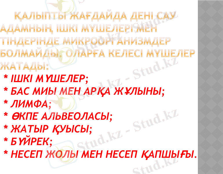 Slide 7