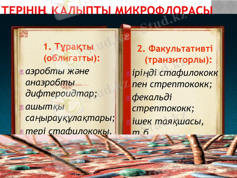 Slide 8