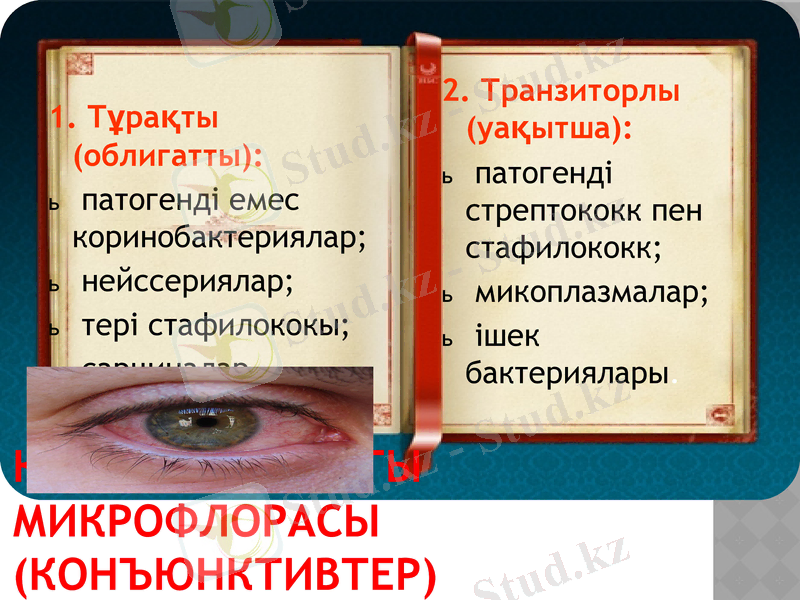 Slide 9