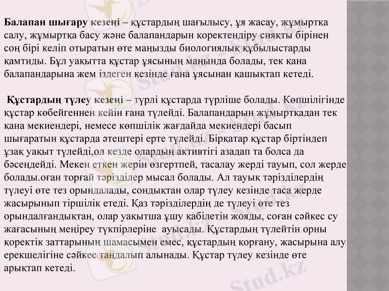 Slide 10