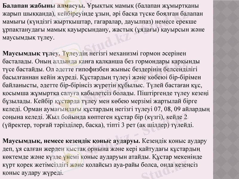 Slide 11