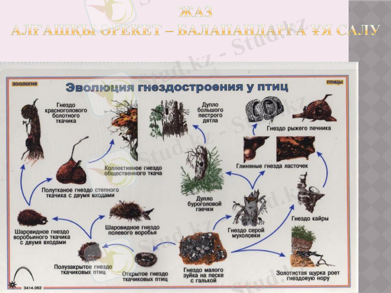 Slide 12