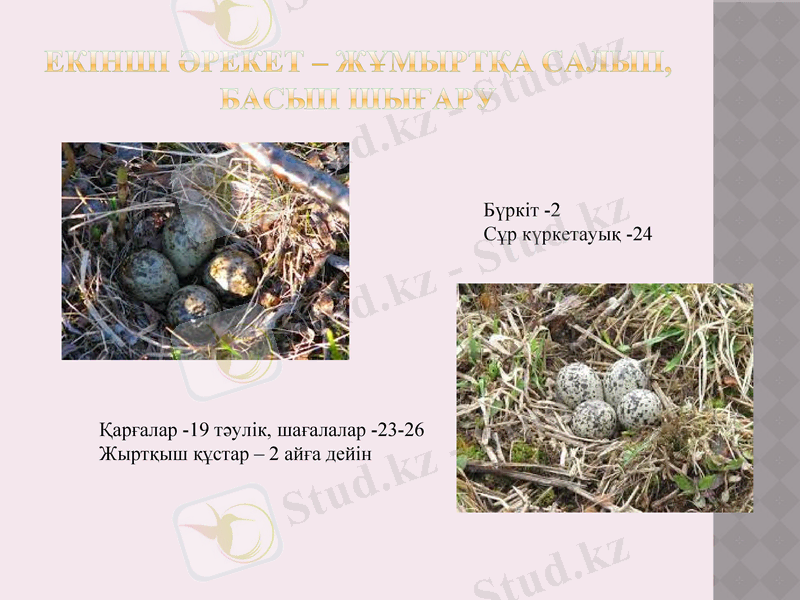 Slide 13