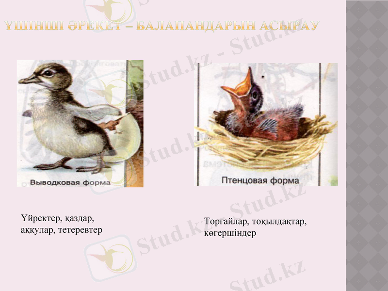 Slide 14