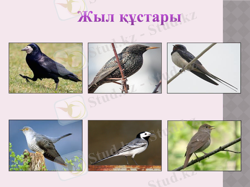 Slide 19