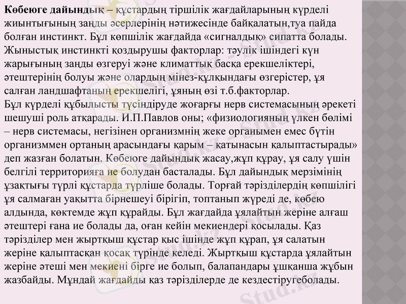 Slide 6
