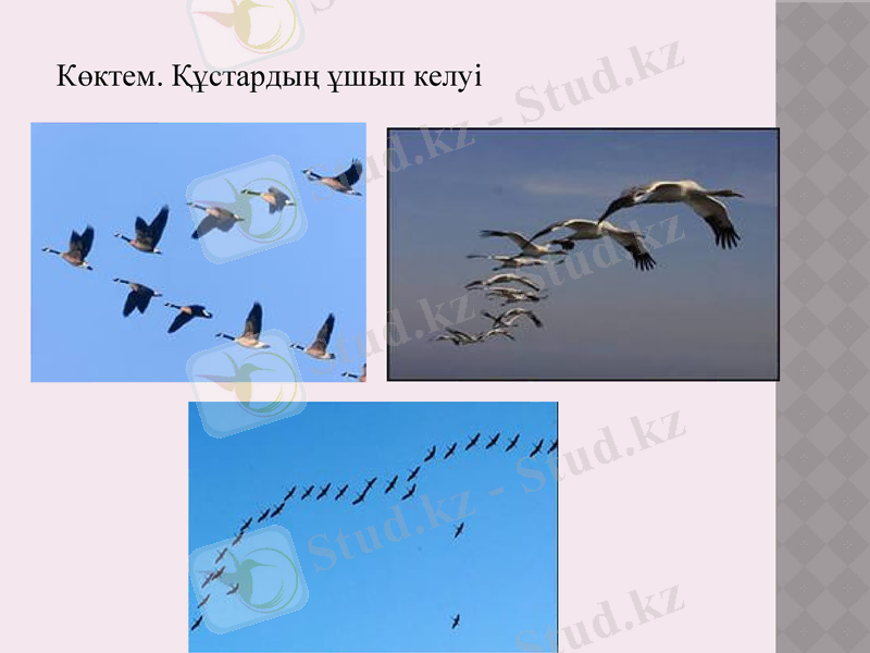 Slide 7