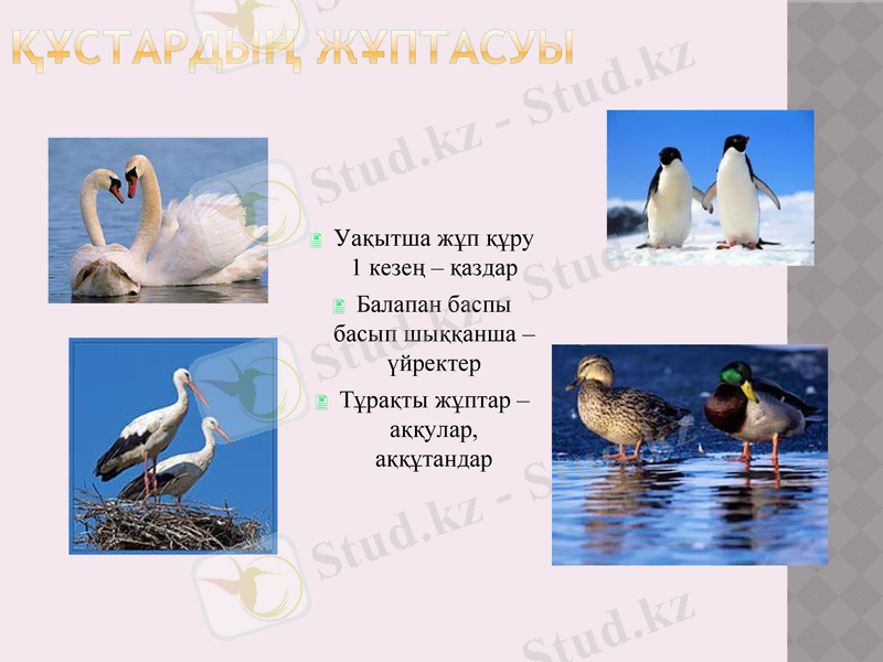 Slide 9