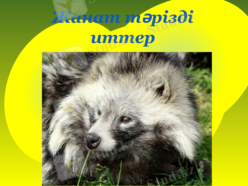 Slide 1