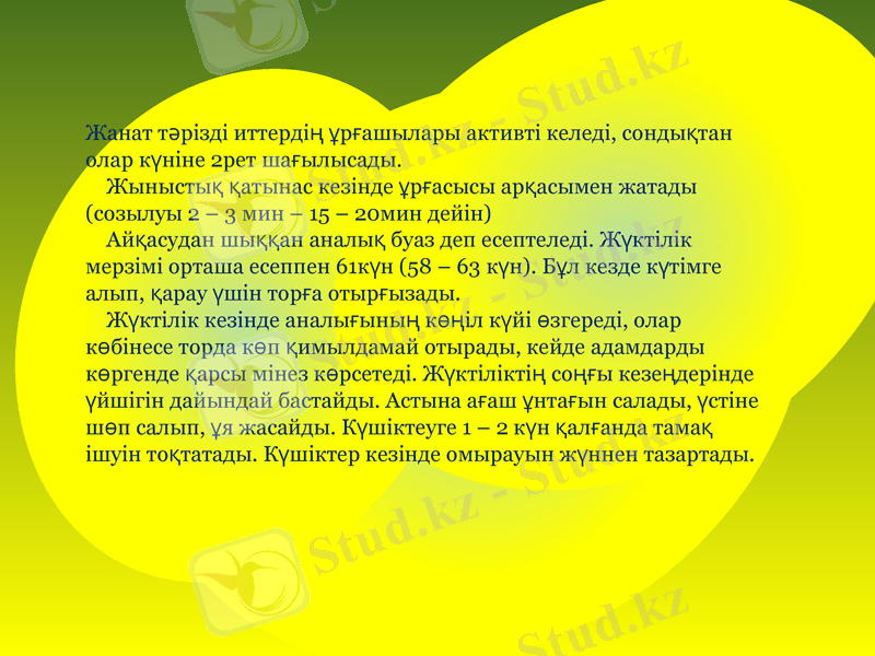 Slide 6