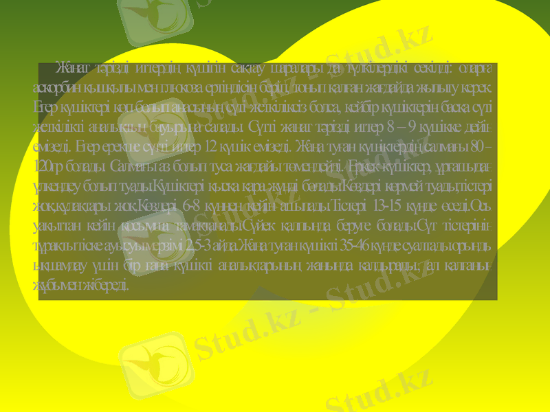 Slide 7