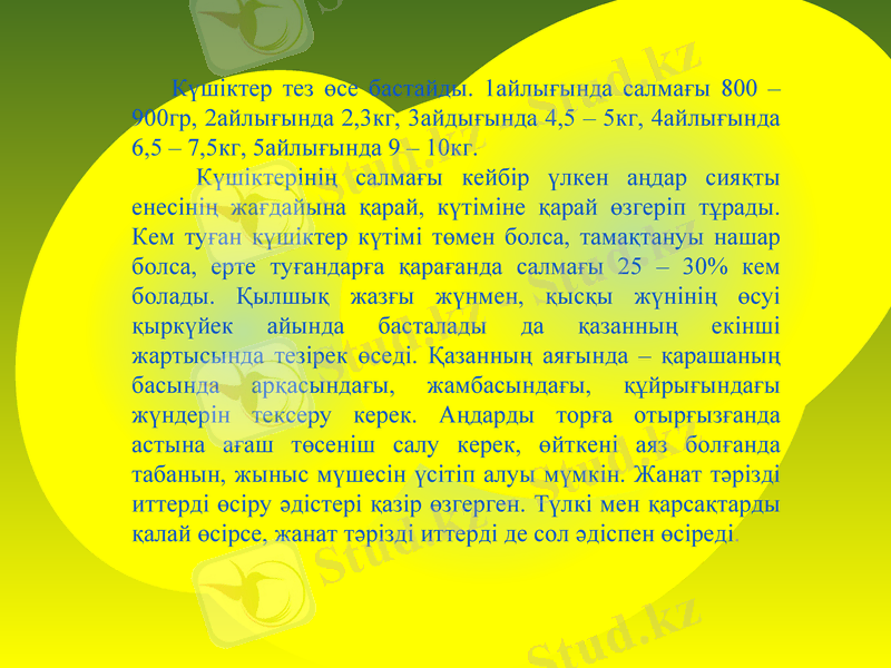 Slide 8