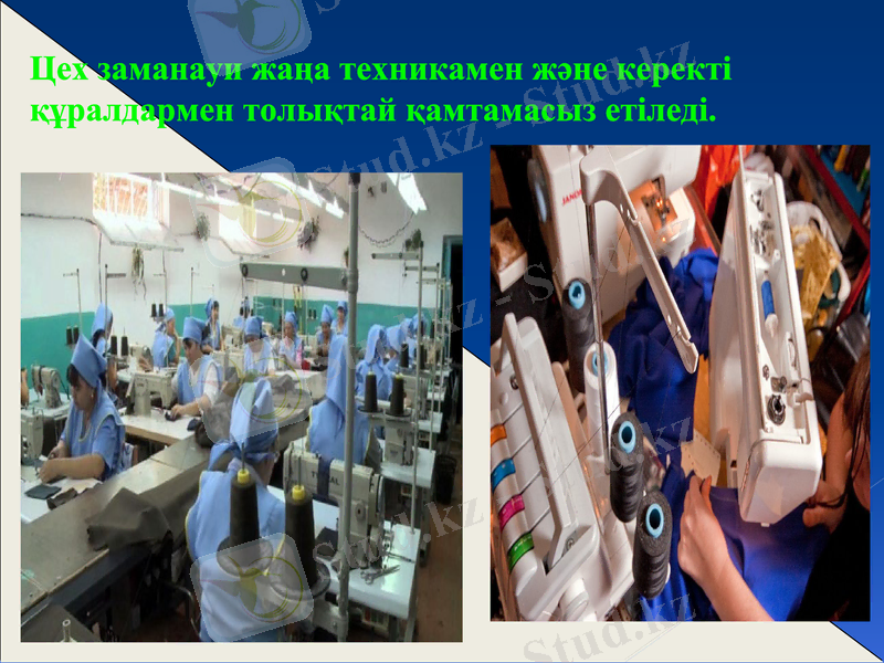 Slide 11