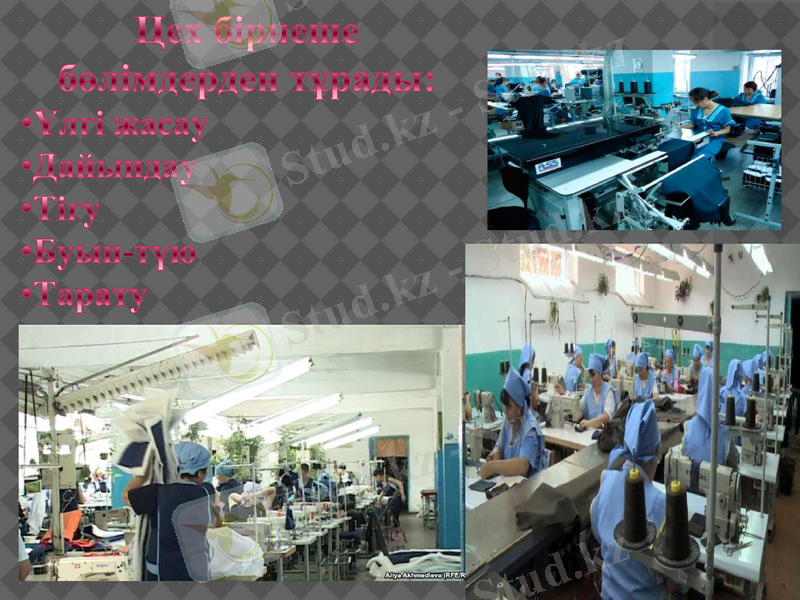 Slide 9
