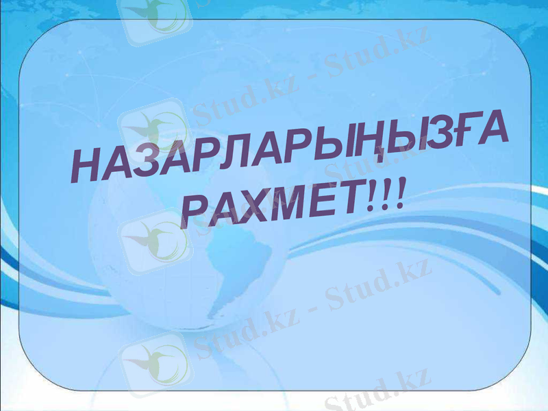 Slide 8