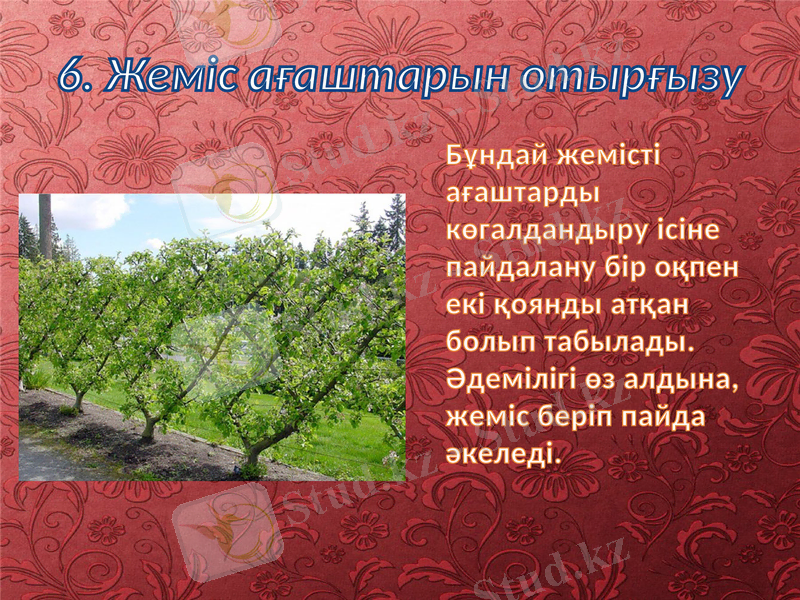 Slide 10