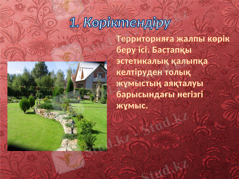 Slide 5