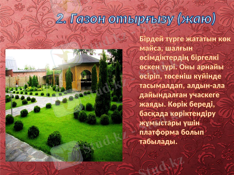 Slide 6